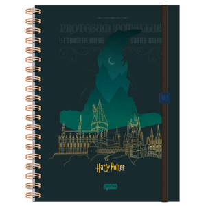 Caderno Universitario Neo 1x1 80 Fls C.D. Jandaia - Harry Potter 2